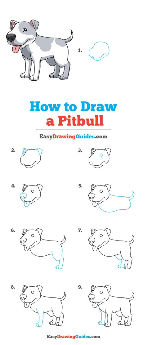 How To Draw A Pitbull Face Bmp Pants