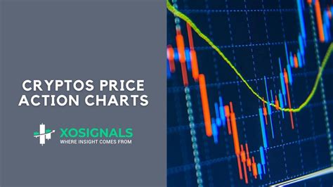 In the last 24 hours, the total crypto. Top 5 Cryptocurrency Price Charts & Breaking News