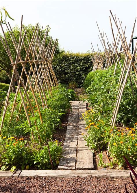 Diy Bamboo Garden Trellis Garden Design Ideas