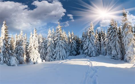 Красивые картинки зима на рабочий стол фото