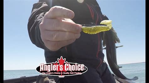 A Little Anglers Choice Sniper Shad Action Youtube