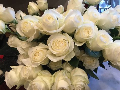 White Roses For Valentines Day White Roses Wedding White Roses Rose
