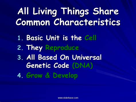 But all animals, infants and adults, are not legal persons, but rather, under the law they are considered property. Study of Biology - Presentation Biology