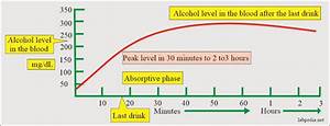 Alcohols Ethyl Alcohol Ethanol Methanol Isopropanol And Ethylene