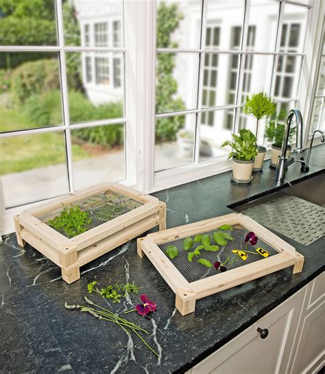 Stackable Herb And Flower Drying Racks The Green Head