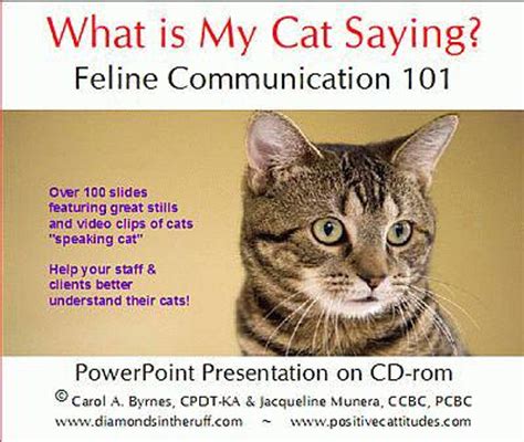 What Is My Cat Saying Feline Communication 101 Powerpoint Cd Dogwise