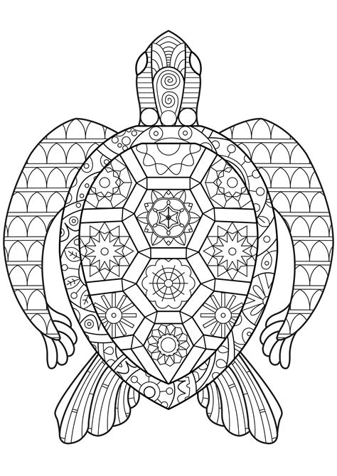 Children's coloring pages online allow your child to color. Zen Turtle - Turtles Adult Coloring Pages