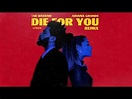 The Weeknd & Ariana Grande - Die For You (Remix) (Lyric Video) - YouTube