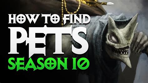 As well as cosmetic pet rewards. Diablo 3 - HOW TO FIND PETS IN SEASON 10 - MENAGERIST ...
