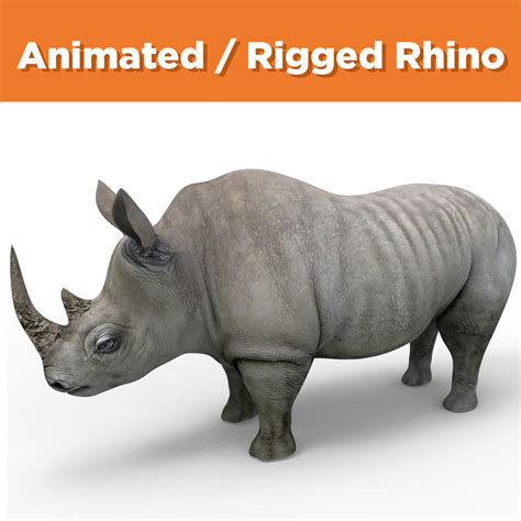 3d Model Rhino Rigged Animated Rhinoceros Realistic 3d Model Vr Ar