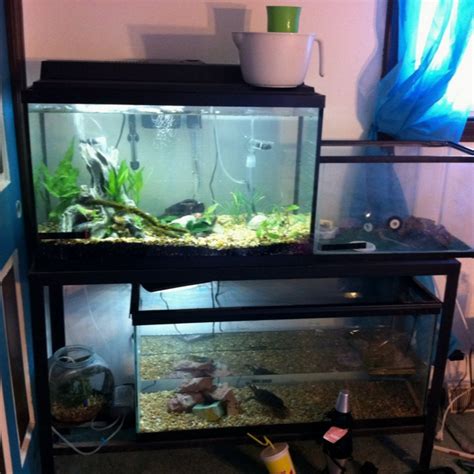 30 Gallon Turtle Tank Kit Rin Aquarium Fish