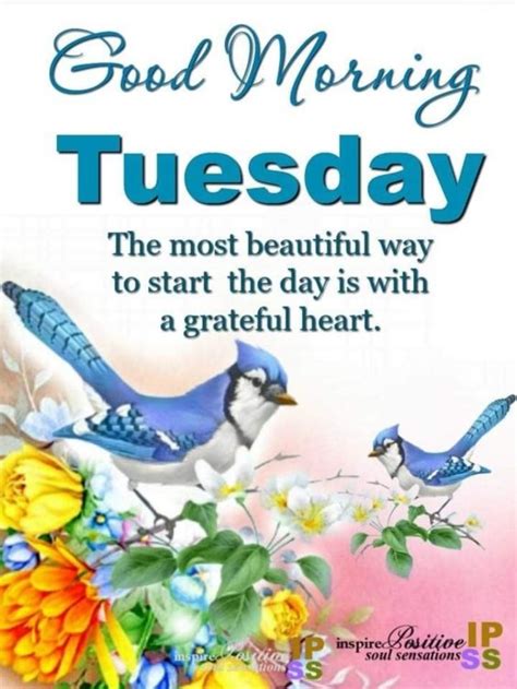10 Wonderful Good Morning Tuesday Quotes And Sayings To Enjoy