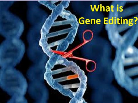 What Is Gene Editing Crisprcas9 Examples And Benefits
