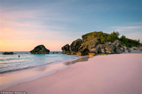 Discovering Bermudas Pink Sand Beaches Coral Reefs And Old Fashioned