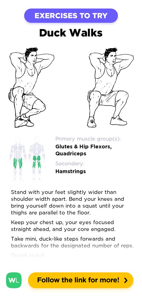 Duck Walks Squats Workoutlabs Exercise Guide