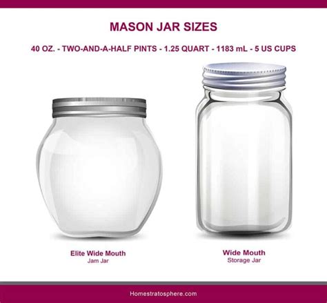 Mason Jar Sizes Illustrated Guide