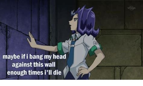 Bang your head against the wall meme. Maybe if I Bang My Head Against This Wall Enough Times I ...