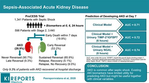 Sepsis Associated Acute Kidney Disease Kidney International Reports