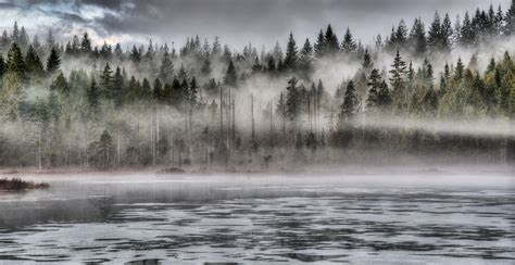 壁纸 公园 木 早上 旅行 光 天空 薄雾 山 加拿大 冷 绿色 旅游 性质 水 美丽 天气 多雾路段