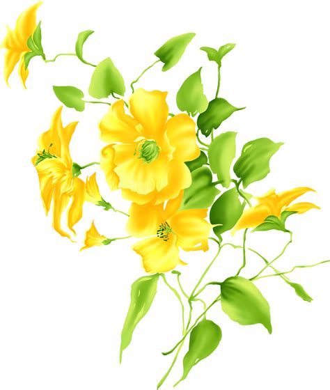 Yellow Flower Drawing Clip Art Lily Png Download 25353000 Free