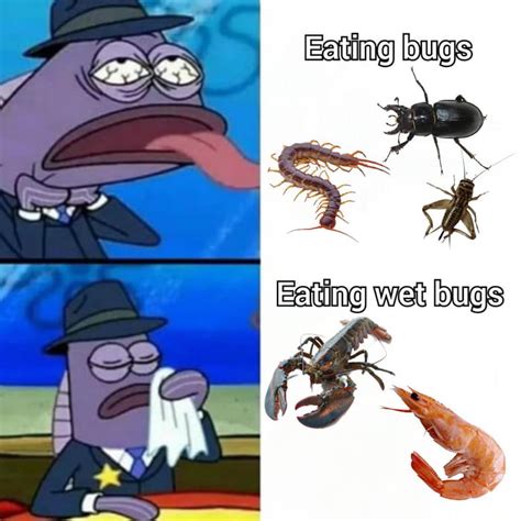 wet bugs only please 9gag