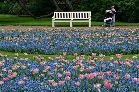 Spring Flowers 22 Gorgeous Pictures Around The World