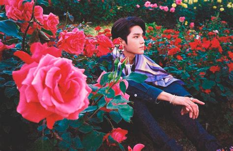 A Year Of Roses And Love With Lee Taeyong