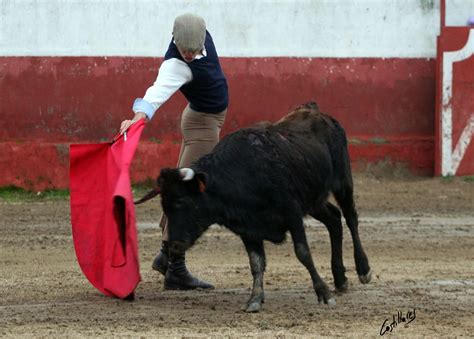 Torerias De Chelin El Matador De Toros Luis Miguel Amado Continua Su Prepracion En Vista De Su