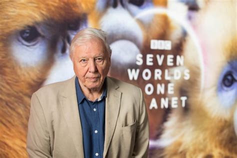 Is David Attenborough Vegetarian And Whens Seven Worlds One Planet On