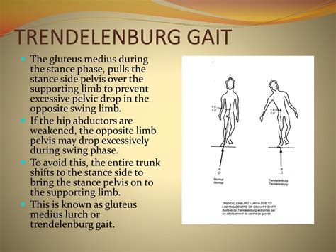 Ppt Gait Normal Abnormal And Assessment Powerpoint Presentation Id