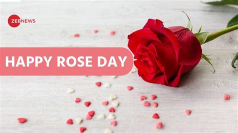 Happy Rose Day Heartfelt Messages To Share Today As Valentines Week Begins Culture News Zee