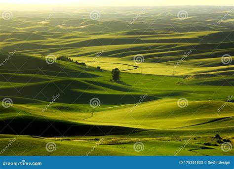 Aerial View Of Palouse Landscape From Steptoe Butte Stock Image Image