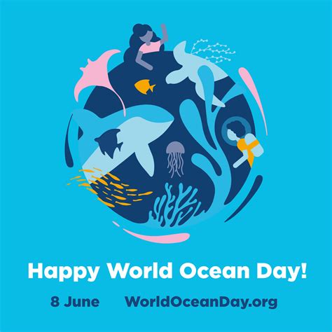 Celebrate World Ocean Day With Us National Aquarium Of New Zealand