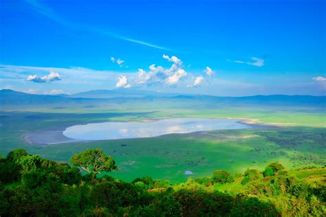 What To Expect On A Ngorongoro Crater Safari Ultimate Guide