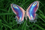 The color PURPLE — butterflies | Butterfly chrysalis, Beautiful ...