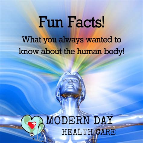 Fun Facts About The Human Body