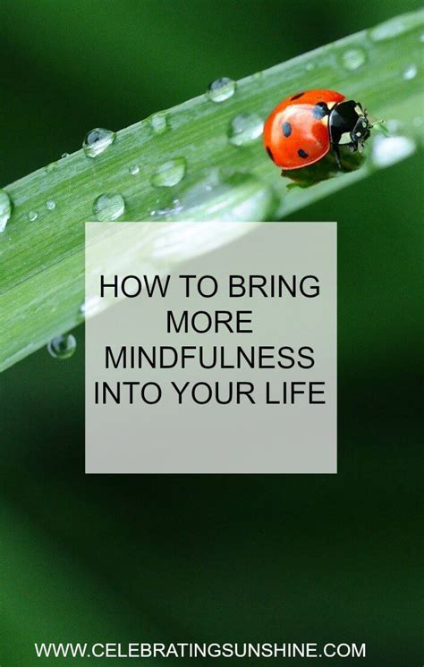 How To Bring More Mindfulness Into Your Everyday Life How To Become