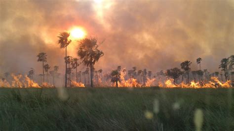 Reporte Oficial Por Los Incendios En Argentina Hay Focos Activos En 5