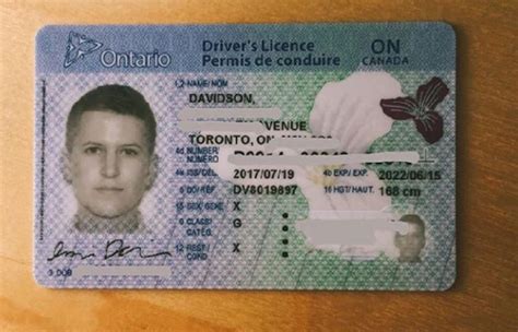 Buy Canadian Drivers License Onlinee Undetected Drivers License My