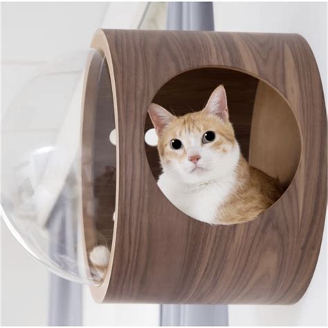 Comfortable and luxurious cat beds from the large selection at catsplay.com. Spaceship Gamma Ultra Modern Cat Bed or Wall Mounted Bed ...