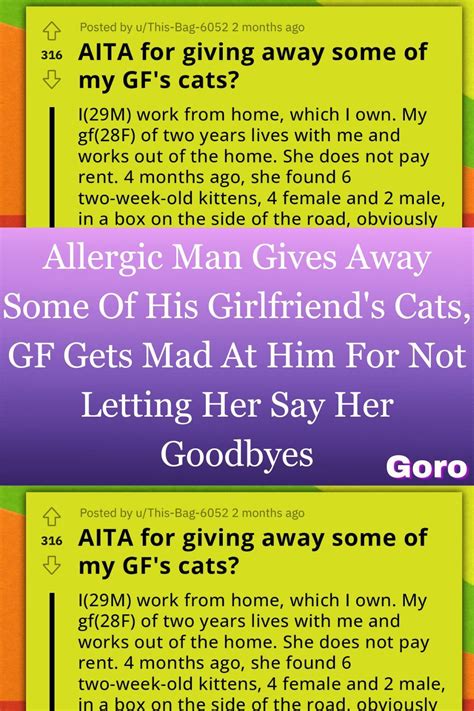 allergic man gives away some of his girlfriend s cats gf gets mad at him for not letting her say