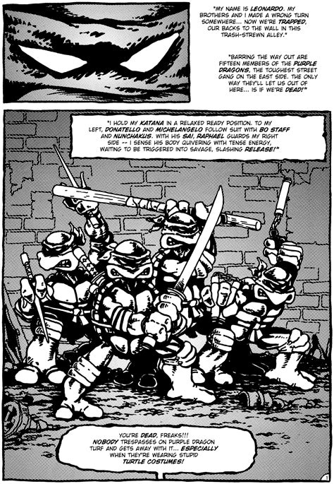 Read Online Teenage Mutant Ninja Turtles 1984 Comic Issue 1