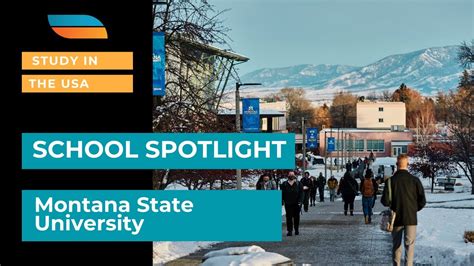 School Spotlight Montana State University Youtube