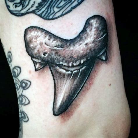 40 Fierce Shark Tooth Tattoo Designs For Men 2023 Guide