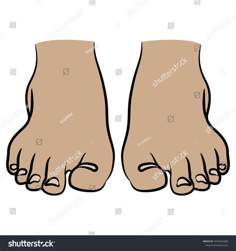 Front View Two Bare Human Feet Stock Vector Royalty Free 1843502689