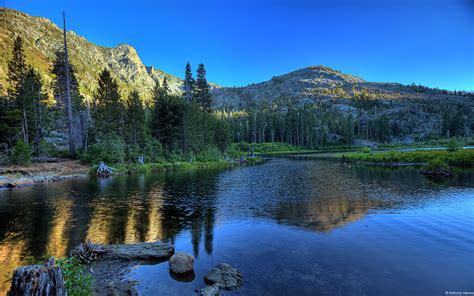 🔥 Download California Woodland By Nicholasr27 Windows 10 Stock