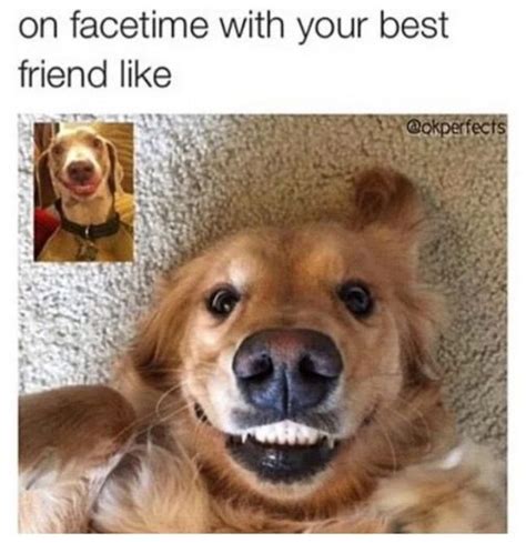 65 Best Funny Friends Memes To Celebrate Best Friends In