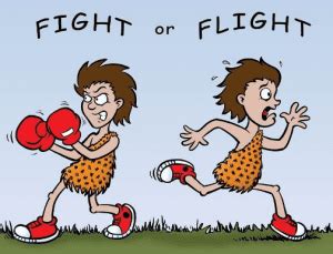 Fight or flight is a natural response that humans and animals can have to danger or stress. Understanding Stress - Part 1: The physical, chemical and ...