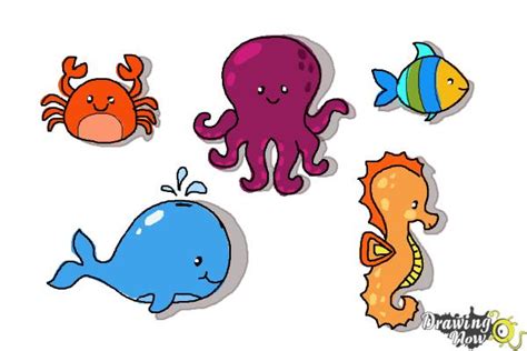 How To Draw Sea Animals Easy