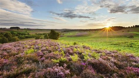 Top 20 Most Beautiful British Countryside Scenes Freeyork